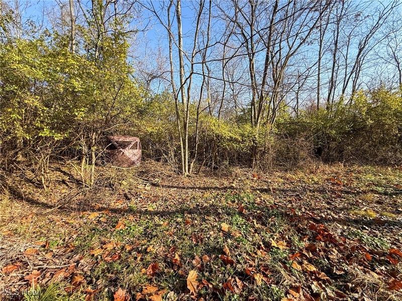 0 Homestead, New Concord, OH 43762 Photo 44