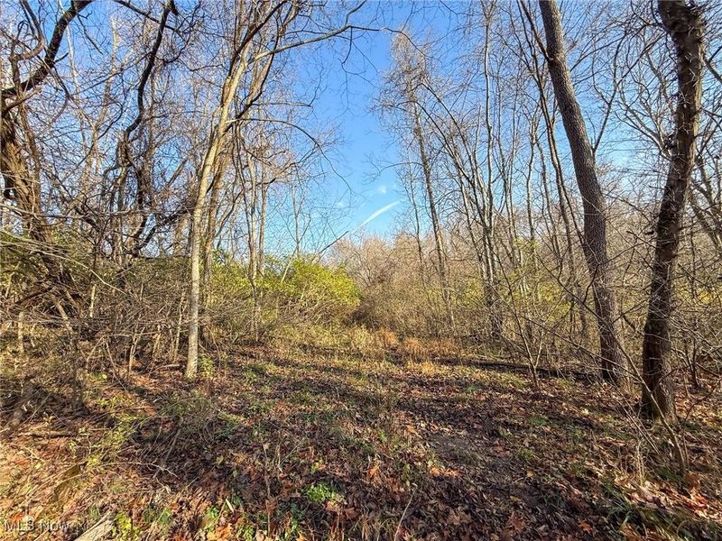 0 Homestead, New Concord, OH 43762 Photo 45