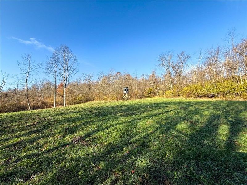 0 Homestead, New Concord, OH 43762 Photo 5