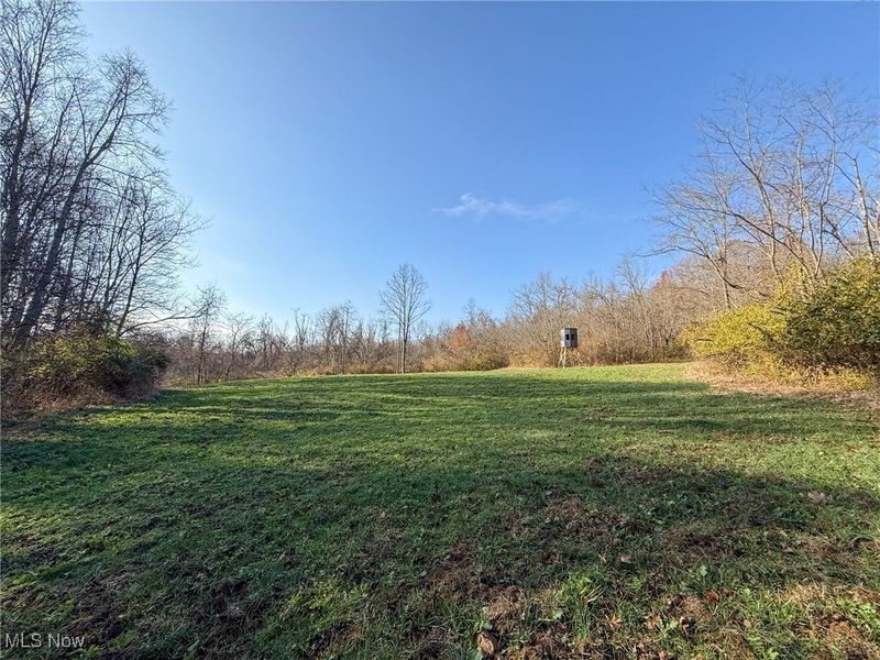 0 Homestead, New Concord, OH 43762 Photo 6