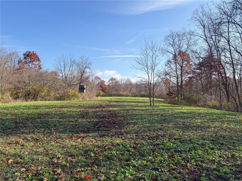 0 Homestead, New Concord, OH 43762 Photo 7