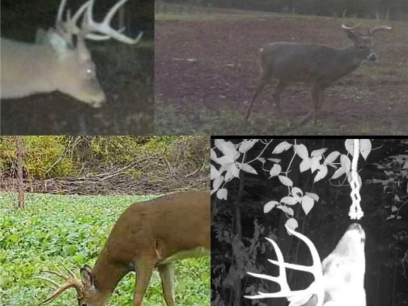 0 Homestead, New Concord, OH 43762 Photo 9