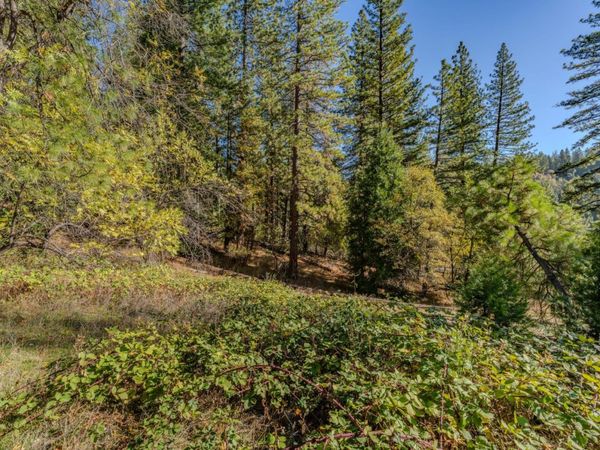 27190 Hill Rd, Pioneer, CA 95666