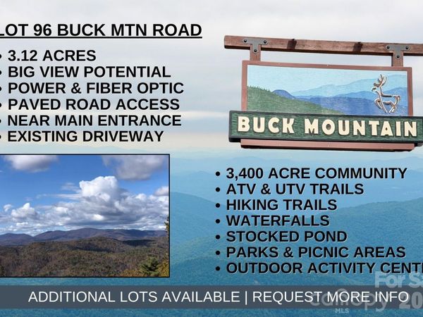 TBD Buck Mountain Road, Purlear, NC 28665