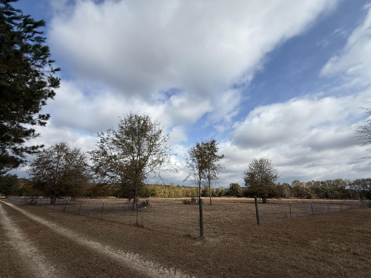 0000 Sc-39 Highway Photo 10