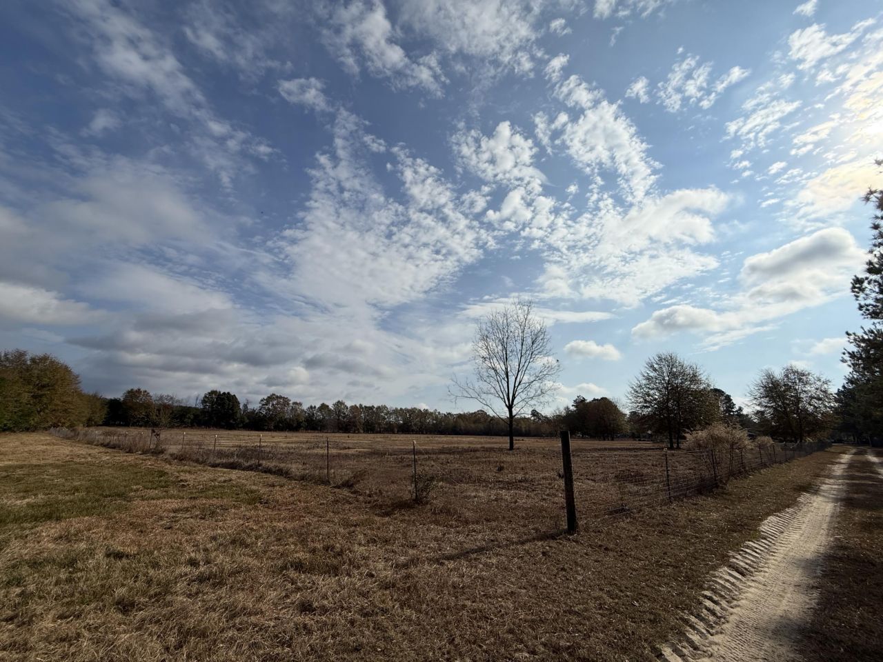 0000 Sc-39 Highway Photo 13