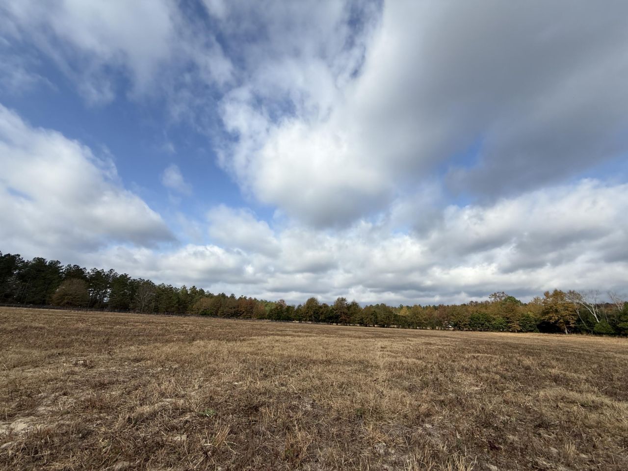 0000 Sc-39 Highway Photo 17