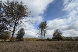 0000 Sc-39 Highway photo 4