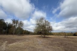 0000 Sc-39 Highway photo 4