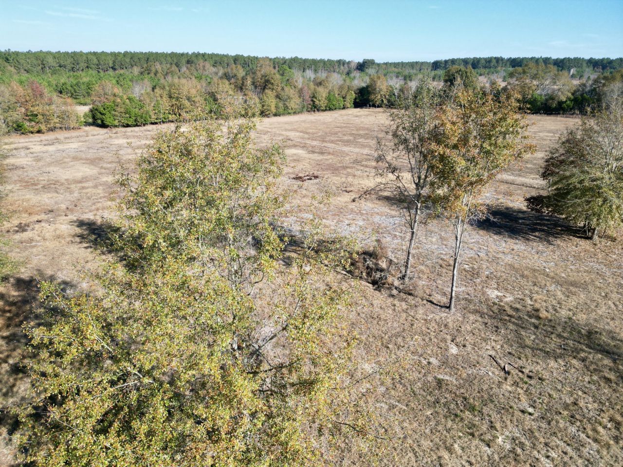 0000 Sc-39 Highway Photo 7