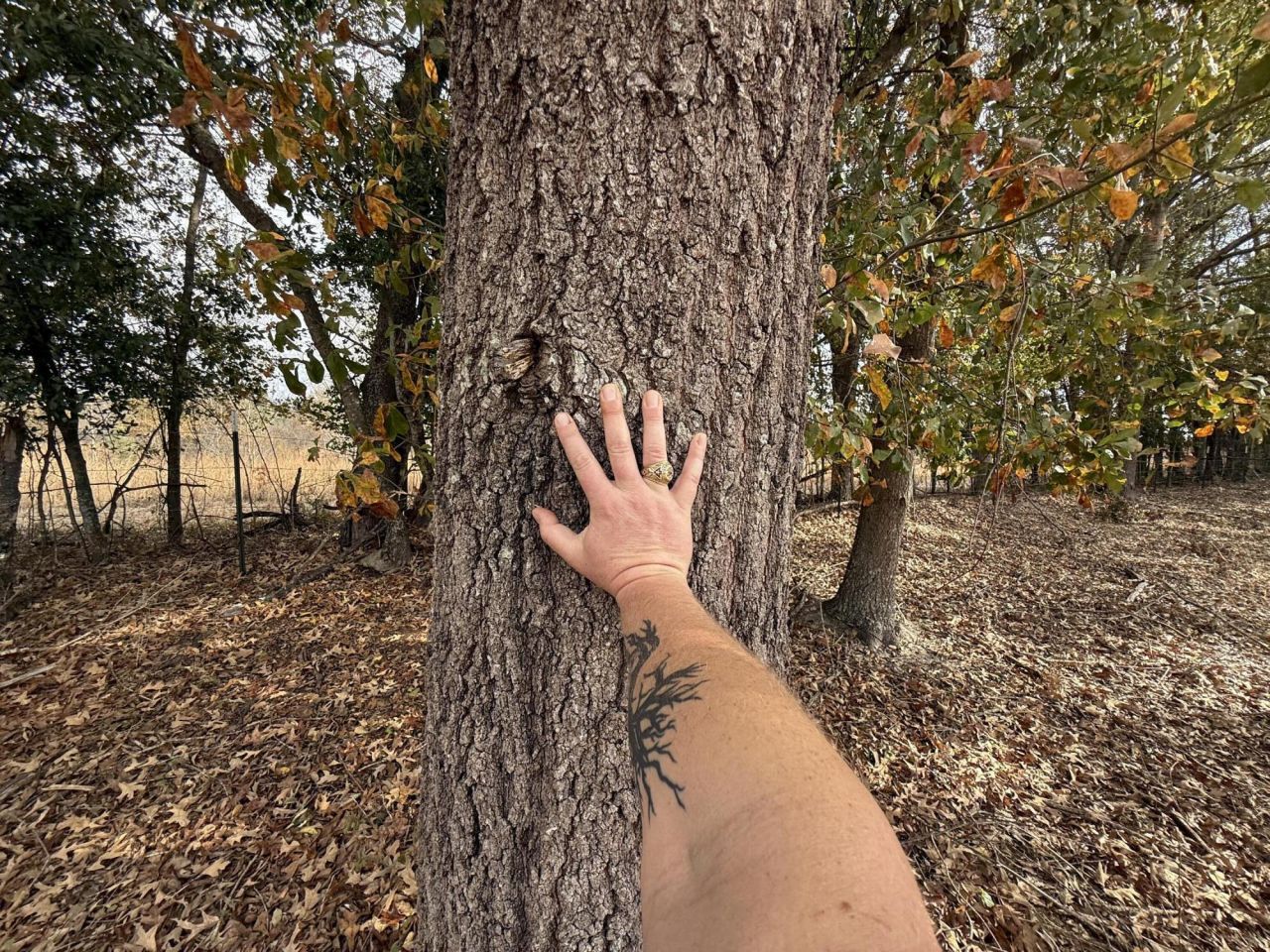 0000 Sc-39 Highway Photo 9