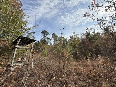 3391 Davis Bridge Road, Williston, SC 29853