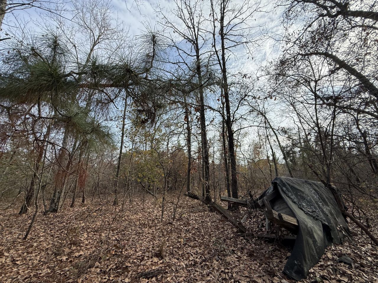 3391 Davis Bridge Road Photo 10