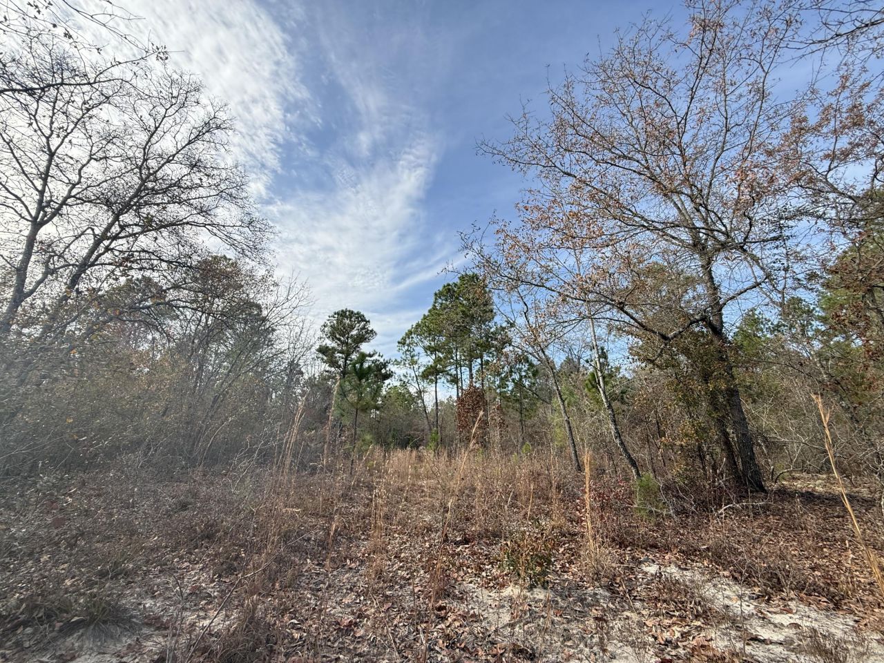 3391 Davis Bridge Road Photo 11