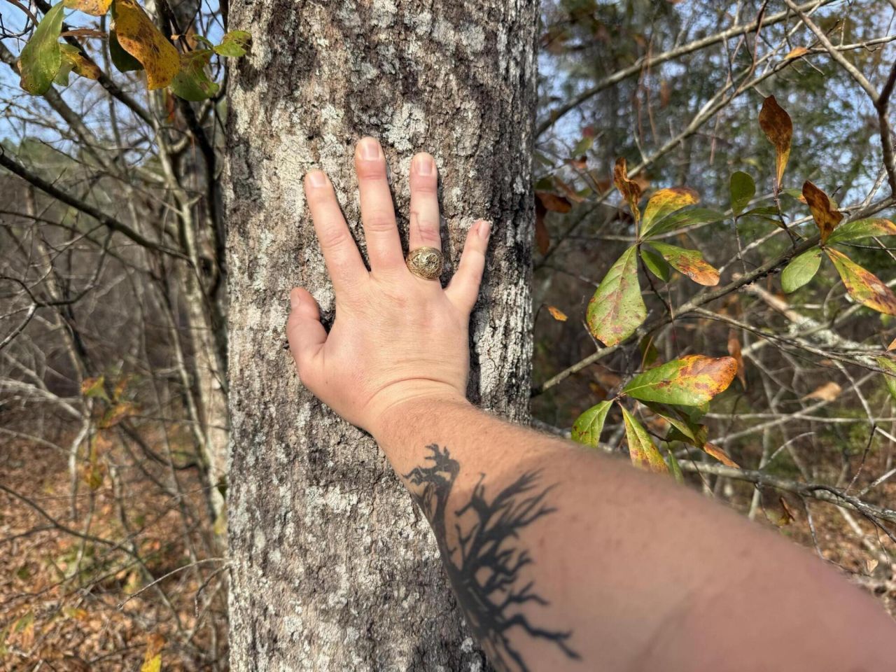 3391 Davis Bridge Road Photo 12