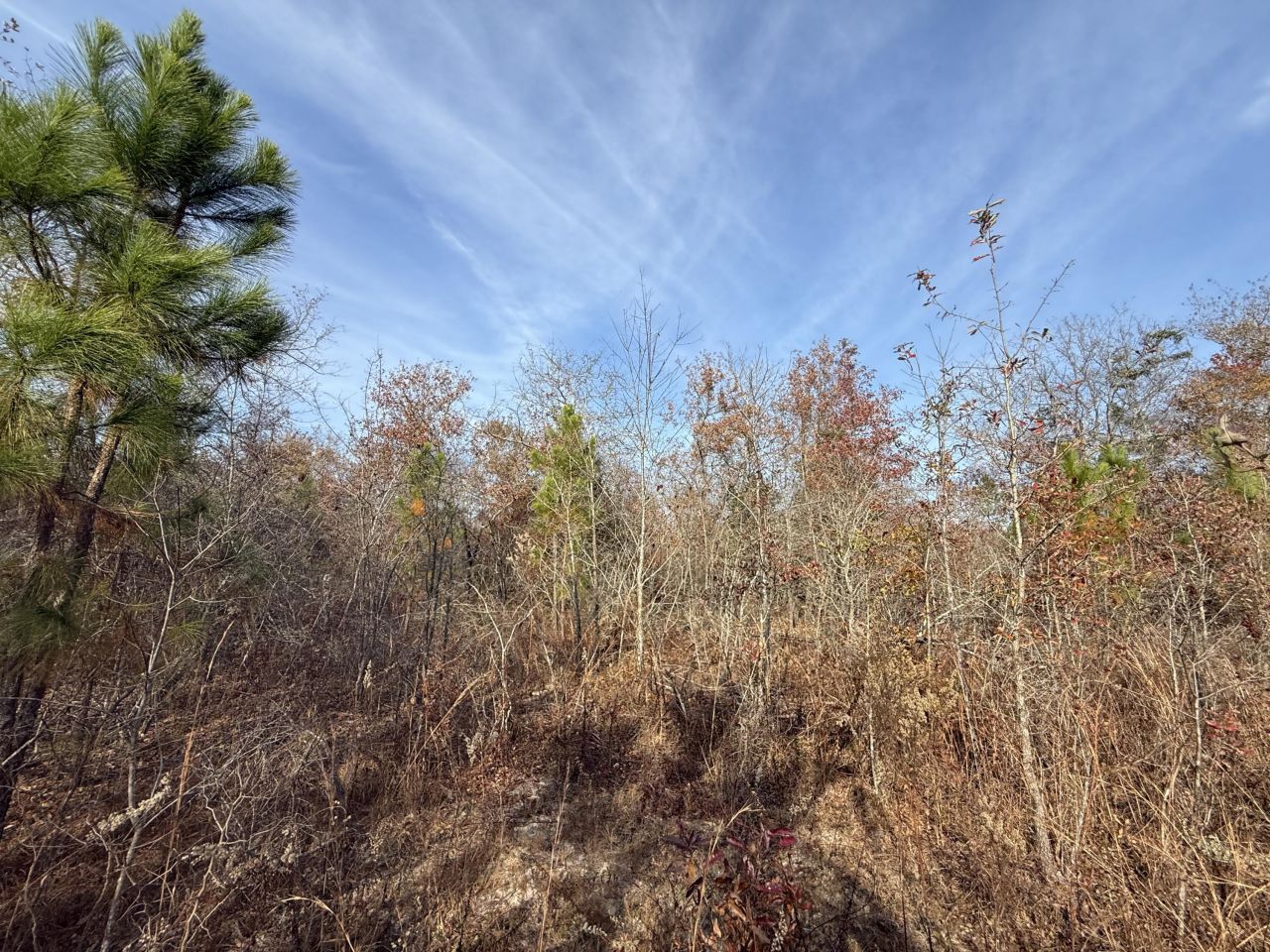 3391 Davis Bridge Road Photo 16