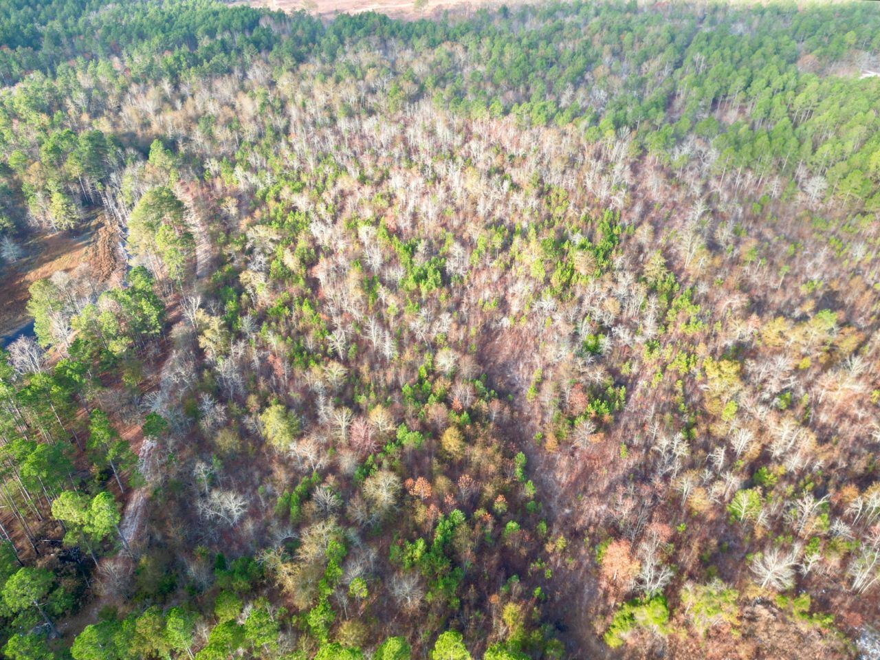 3391 Davis Bridge Road Photo 4