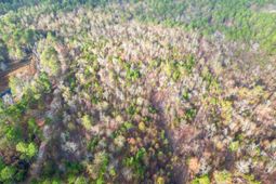 3391 Davis Bridge Road photo 4