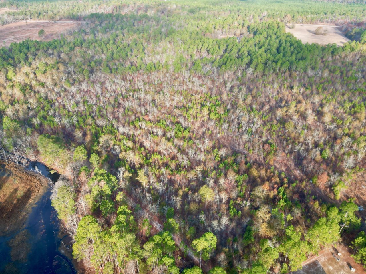 3391 Davis Bridge Road Photo 5