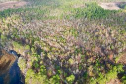 3391 Davis Bridge Road photo 4