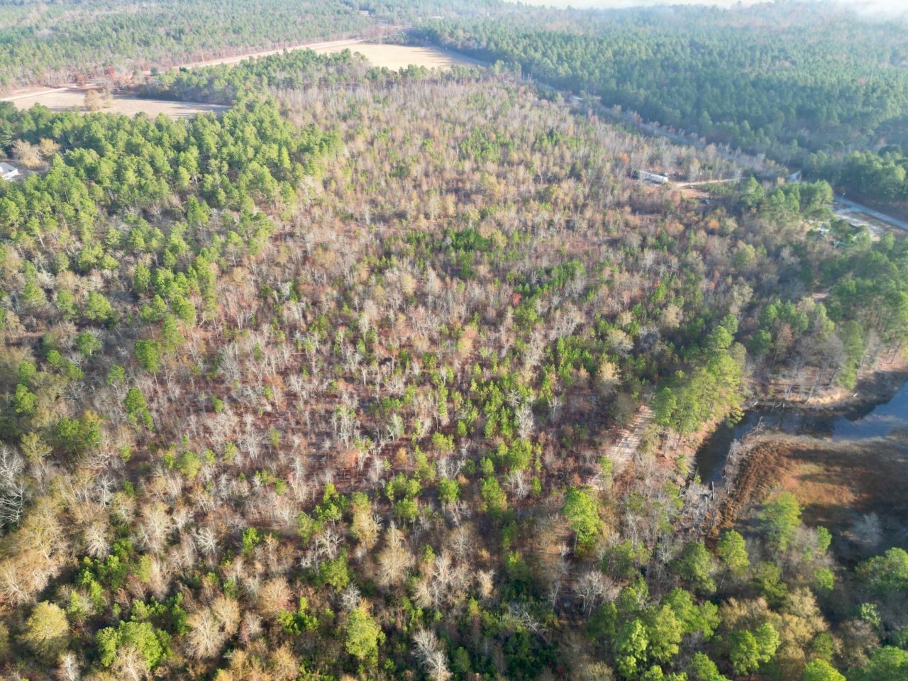 3391 Davis Bridge Road Photo 6