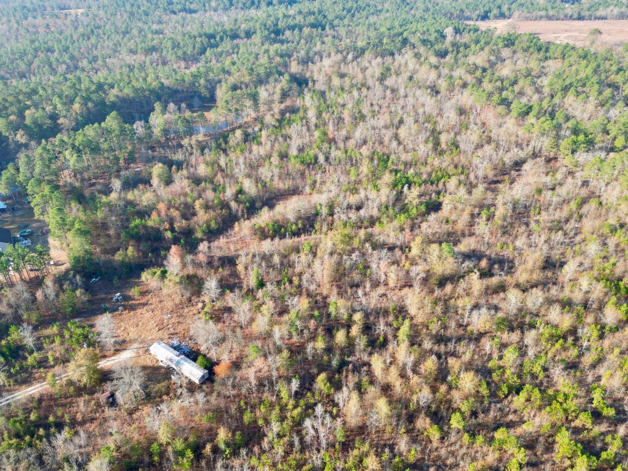 3391 Davis Bridge Road Photo 7