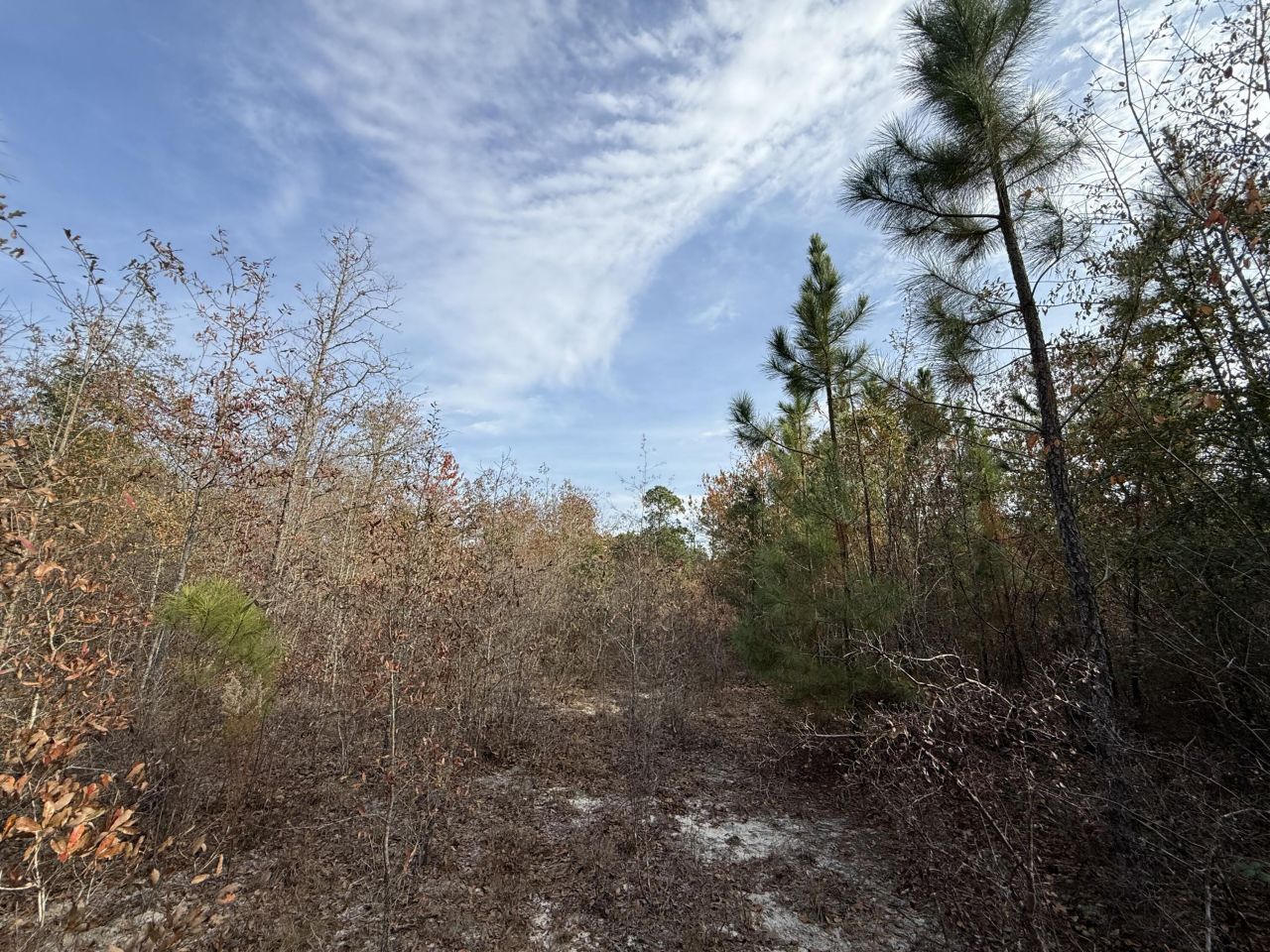 3391 Davis Bridge Road Photo 8