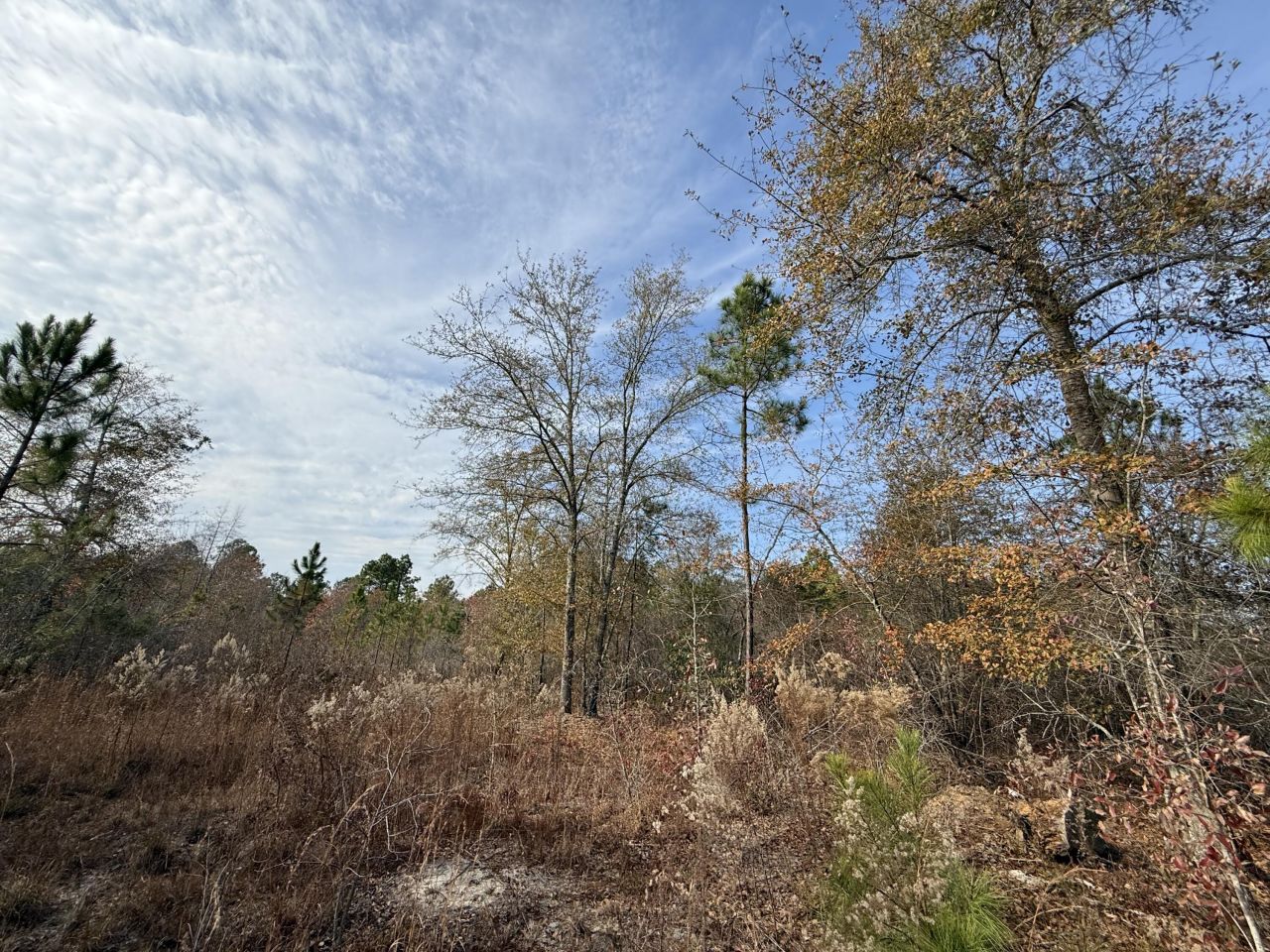 3391 Davis Bridge Road Photo 9