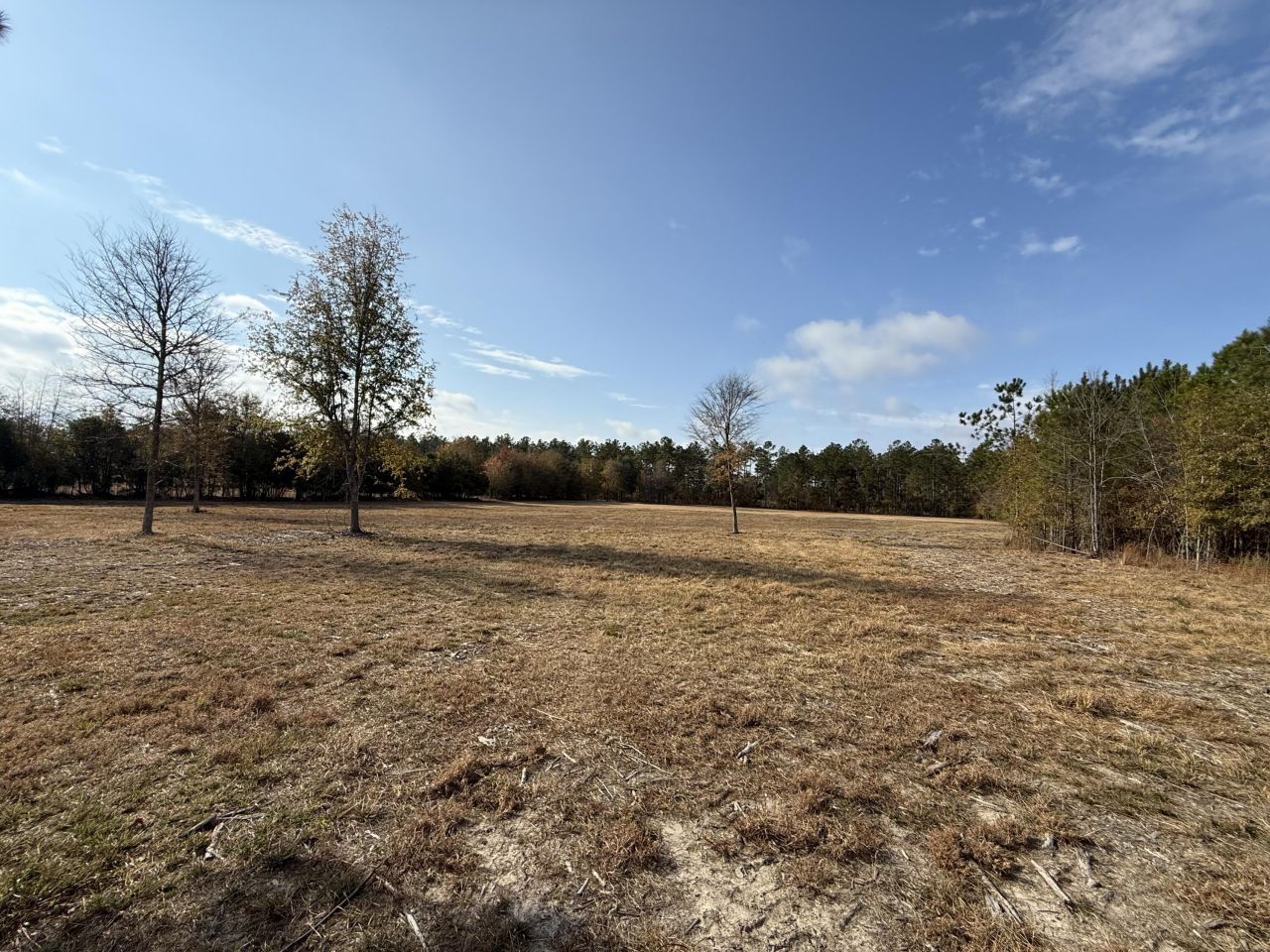 7498 Sc 39 Highway Photo 18