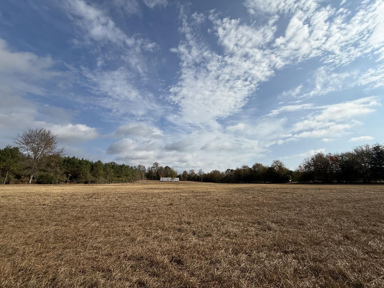 7498 Sc 39 Highway Photo 19