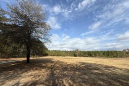 7498 Sc 39 Highway photo 4