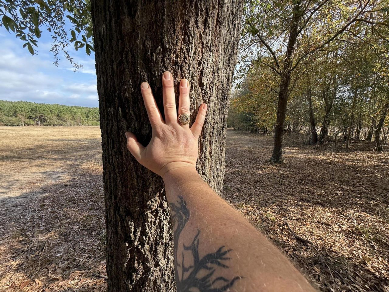 7498 Sc 39 Highway Photo 6