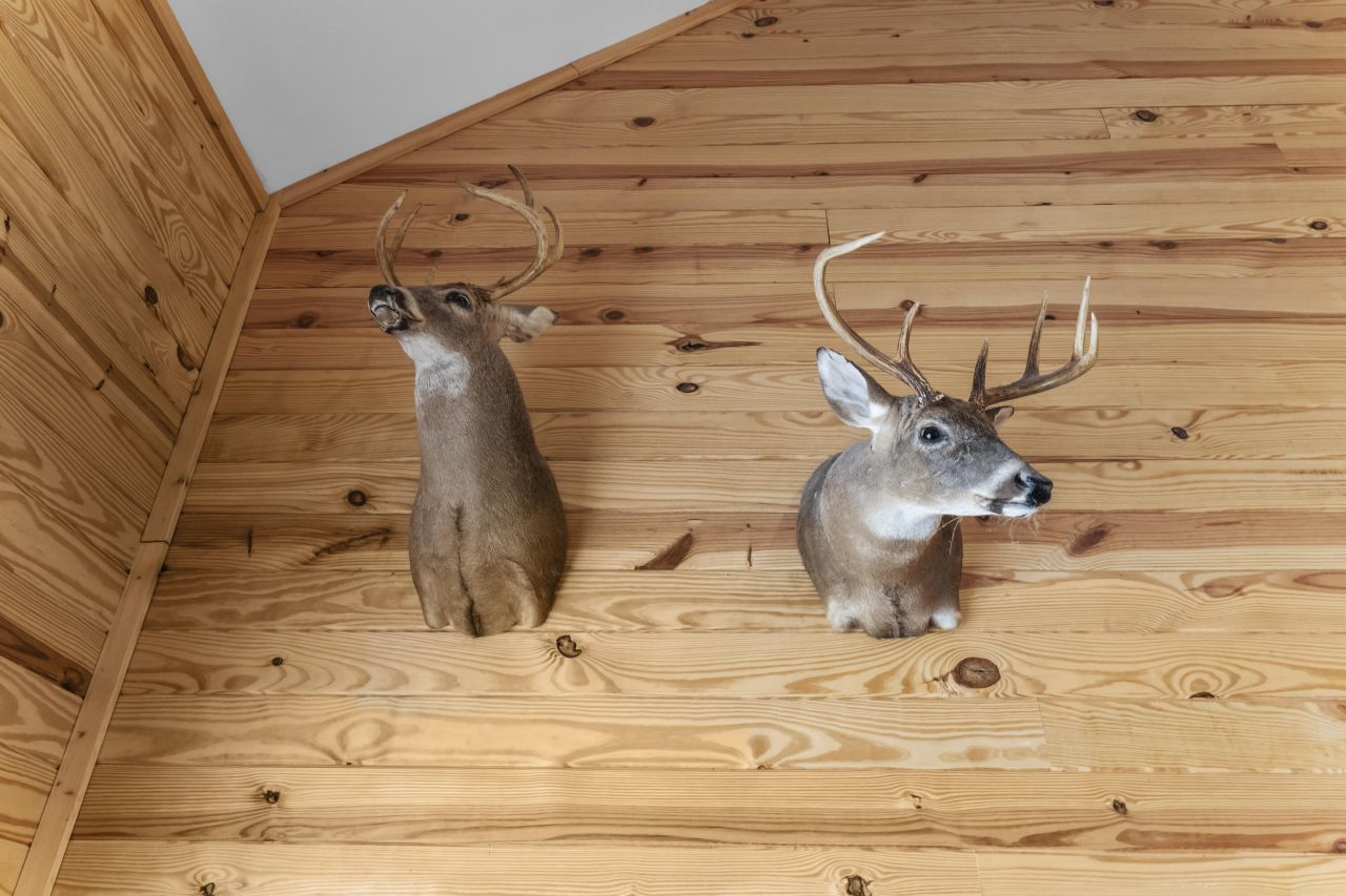 1085 Tobacco Road Photo 10