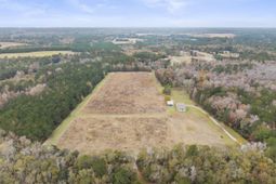 1085 Tobacco Road photo 4