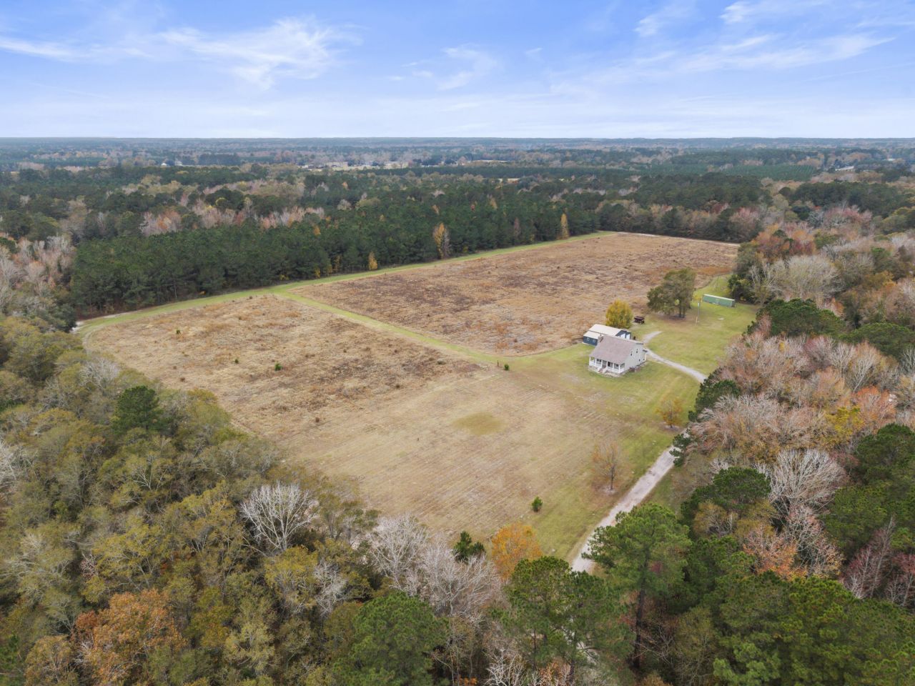 1085 Tobacco Road Photo 4