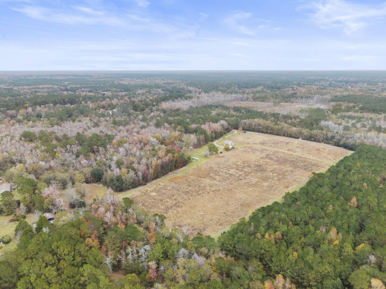 1085 Tobacco Road Photo 41