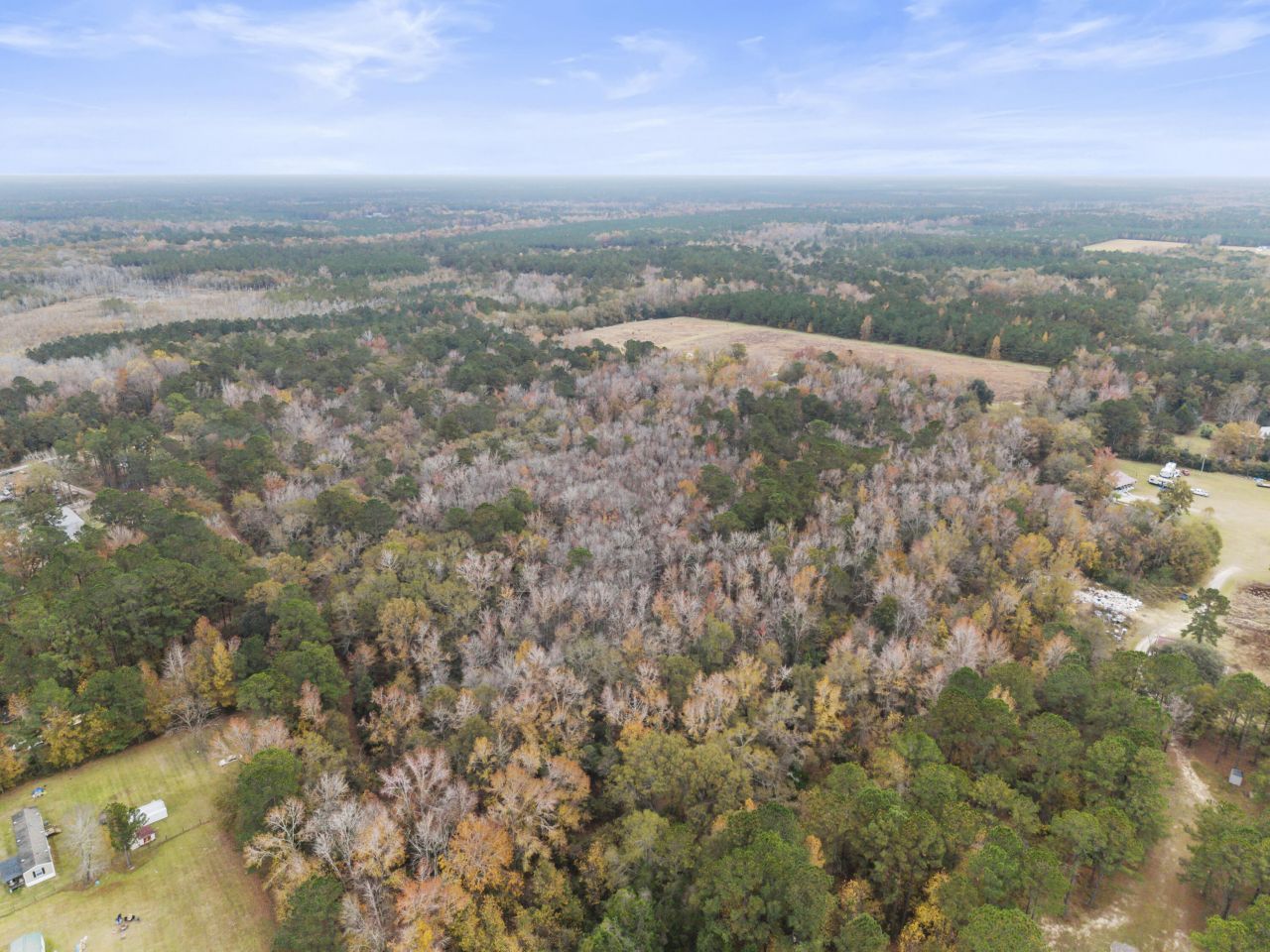 1085 Tobacco Road Photo 43