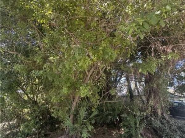 1115 15th Avenue SW, Vero Beach, FL 32962