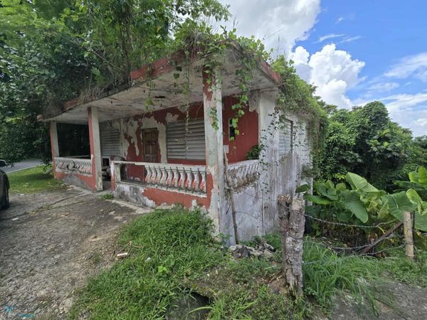 1 BO. LOMAS, Canovanas, PR 00729