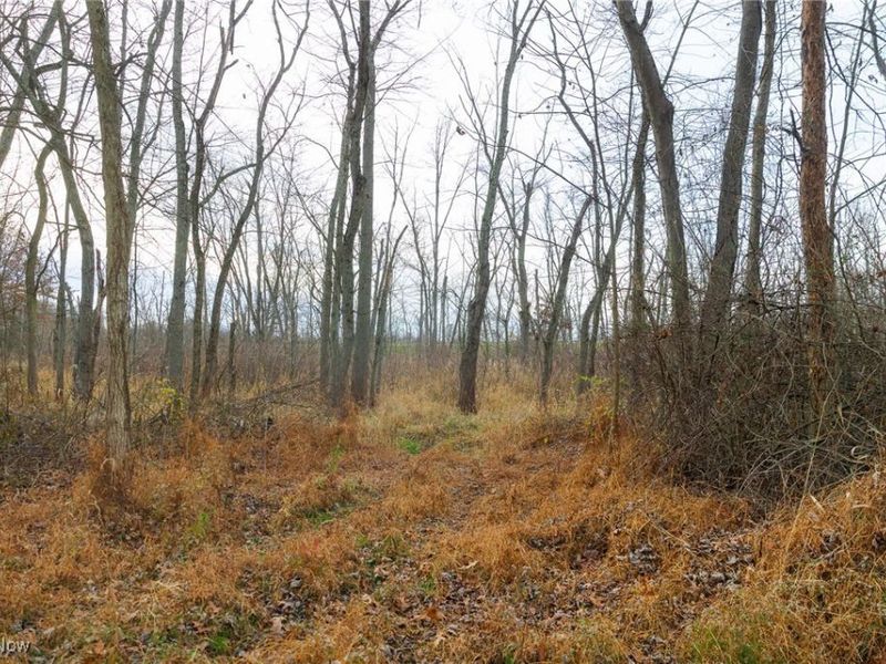 12160 Harvey Circle, Marshallville, OH 44645 Photo 10