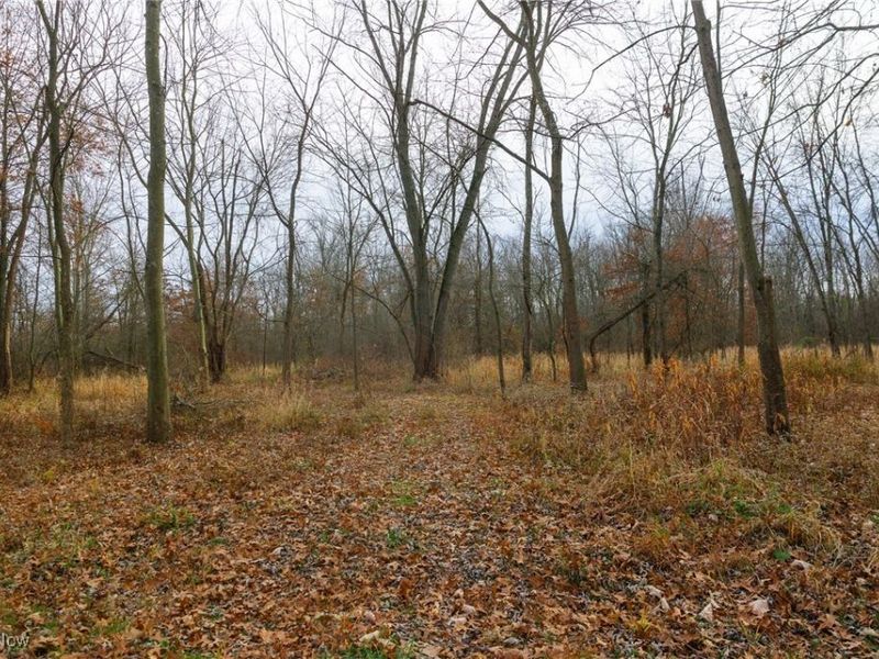 12160 Harvey Circle, Marshallville, OH 44645 Photo 11