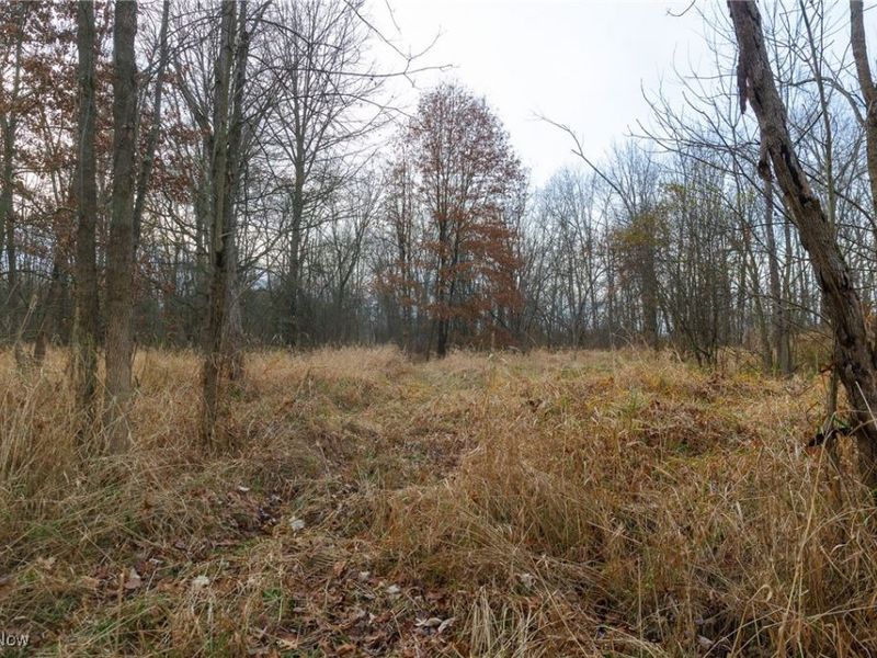 12160 Harvey Circle, Marshallville, OH 44645 Photo 12