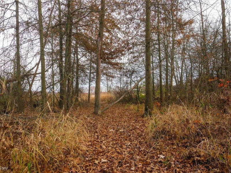 12160 Harvey Circle, Marshallville, OH 44645 Photo 13