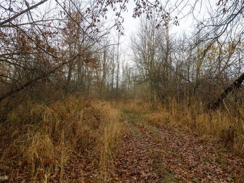 12160 Harvey Circle, Marshallville, OH 44645 Photo 14