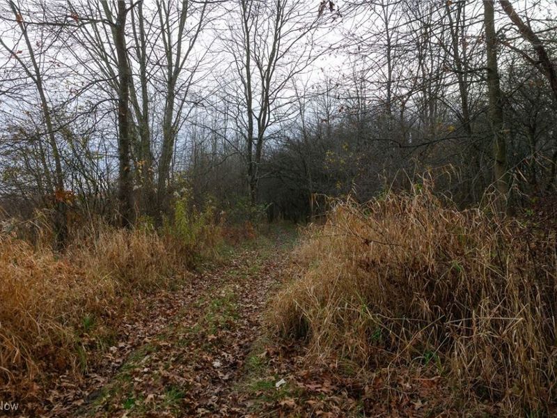 12160 Harvey Circle, Marshallville, OH 44645 Photo 15