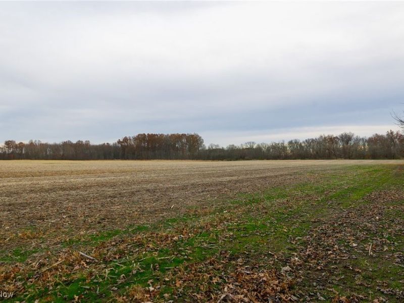 12160 Harvey Circle, Marshallville, OH 44645 Photo 16