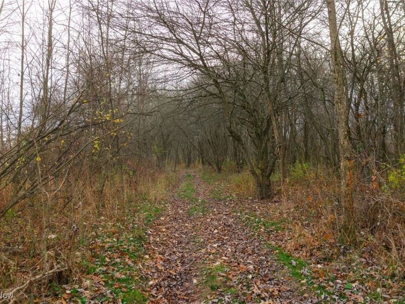 12160 Harvey Circle, Marshallville, OH 44645 Photo 17