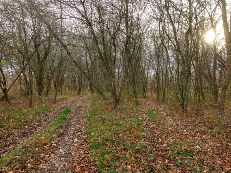 12160 Harvey Circle, Marshallville, OH 44645 Photo 18