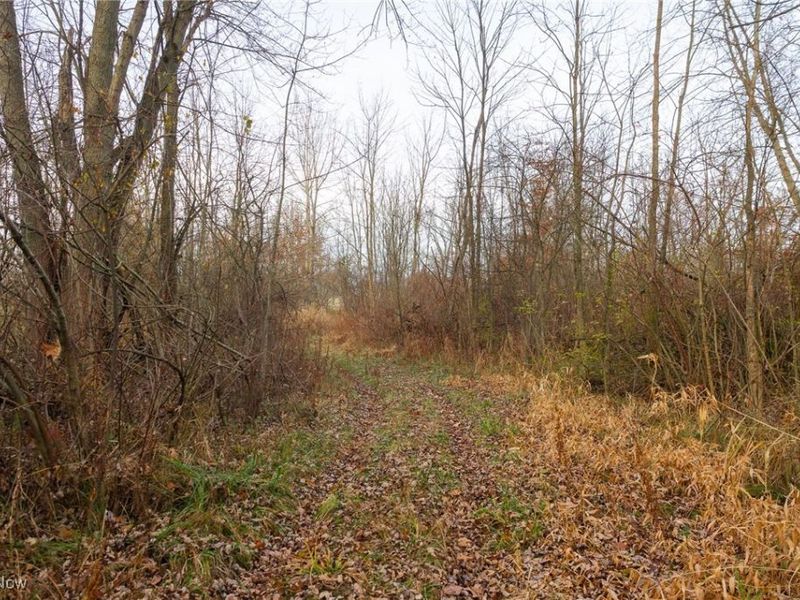 12160 Harvey Circle, Marshallville, OH 44645 Photo 19