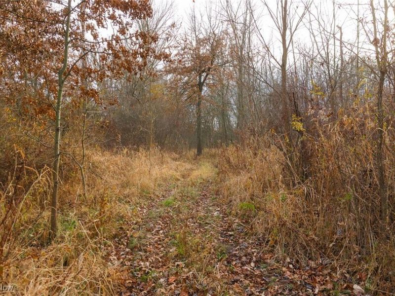 12160 Harvey Circle, Marshallville, OH 44645 Photo 20